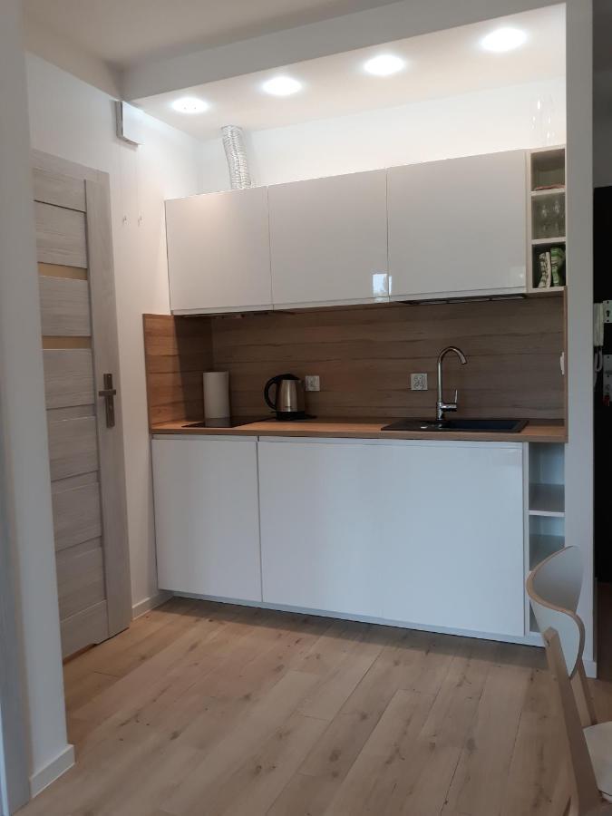 Apartament Szary Wilk Świeradów-Zdrój Exterior foto