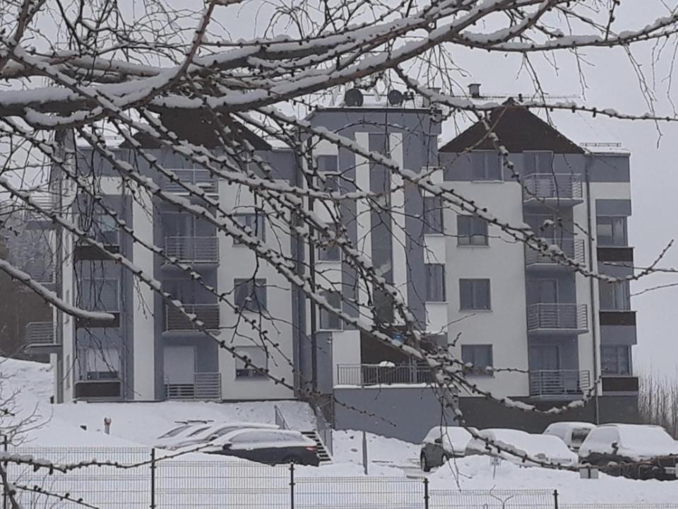 Apartament Szary Wilk Świeradów-Zdrój Exterior foto
